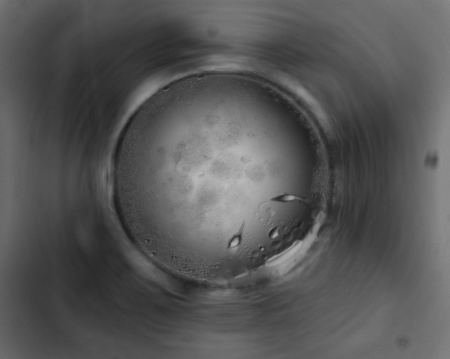 X0000103491467200809121702