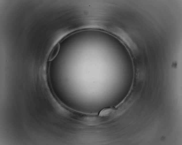 X0000103491468200809121702