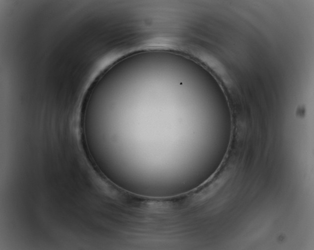 X0000103491469200809121702