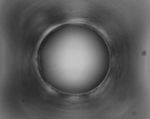 X0000103491470200809121702