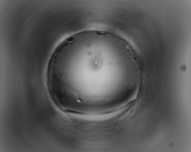 X0000103491471200809121702