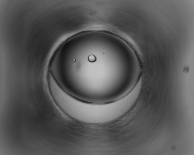 X0000103491472200809121702