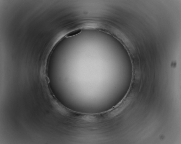 X0000103491473200809121702