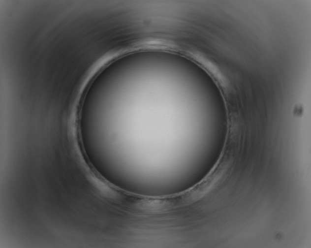 X0000103491474200809121702