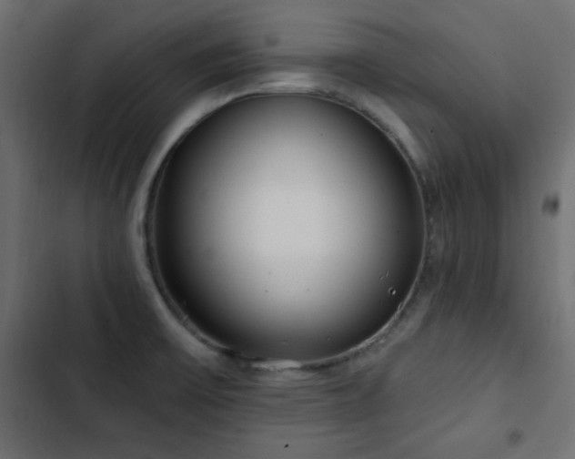 X0000103491475200809121702