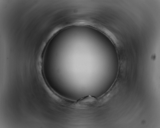 X0000103491476200809121702