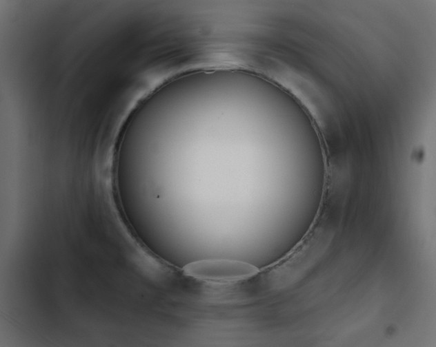 X0000103491477200809121702