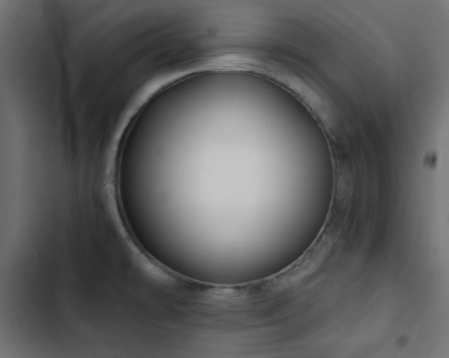 X0000103491478200809121702