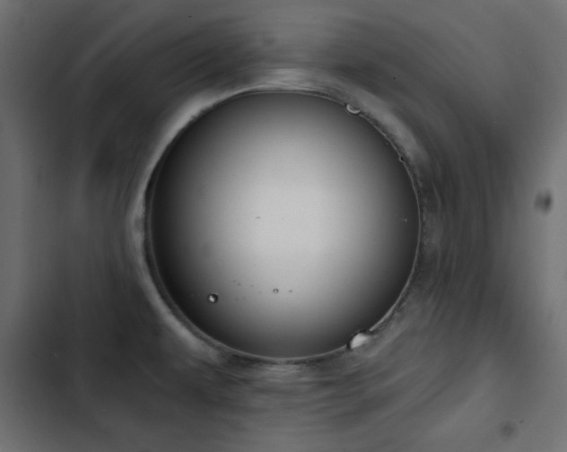 X0000103491479200809121702