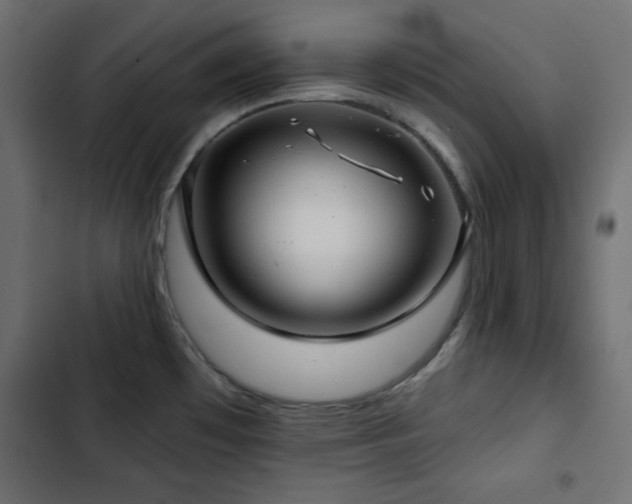 X0000103491481200809121702