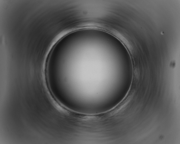 X0000103491482200809121702