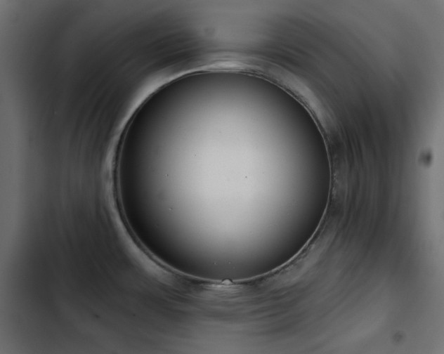 X0000103491483200809121702