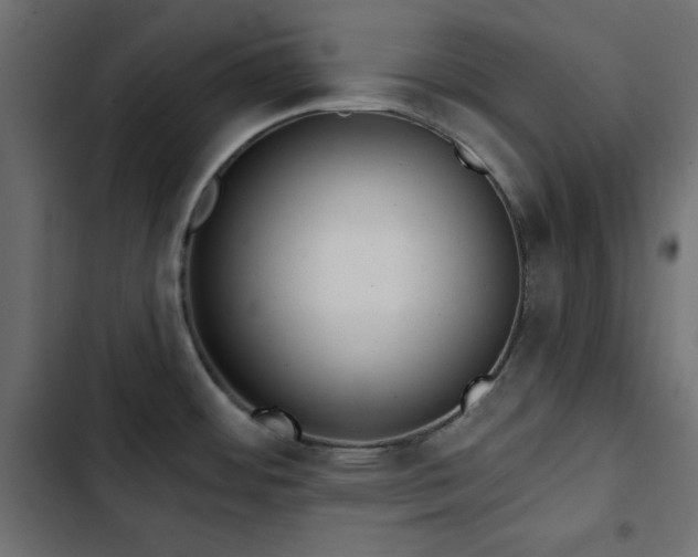 X0000103491484200809121702