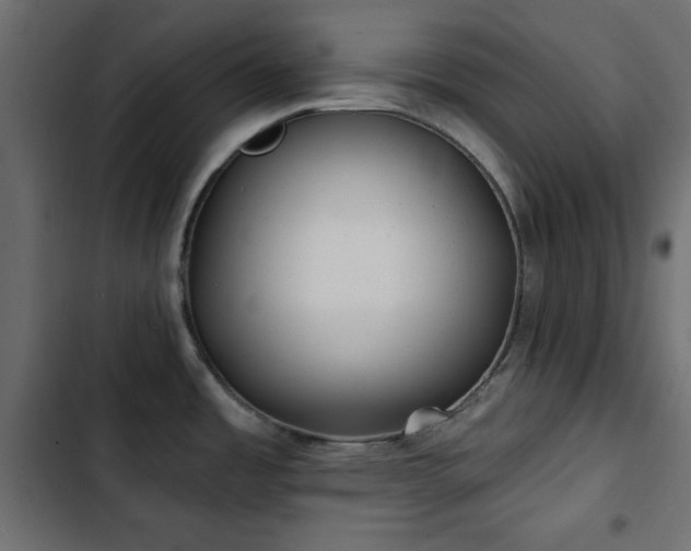 X0000103491485200809121702