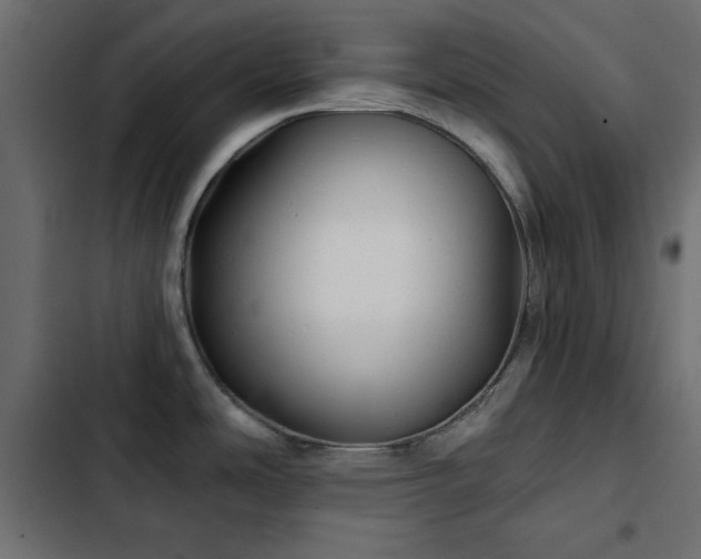 X0000103491486200809121702