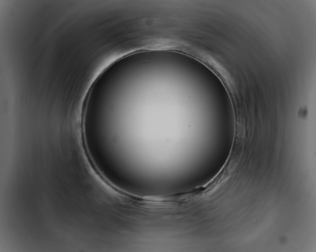 X0000103491487200809121702