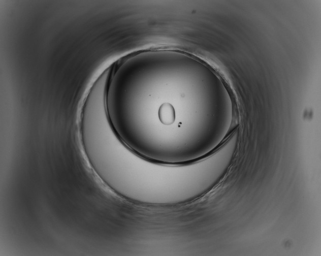 X0000103491488200809121702