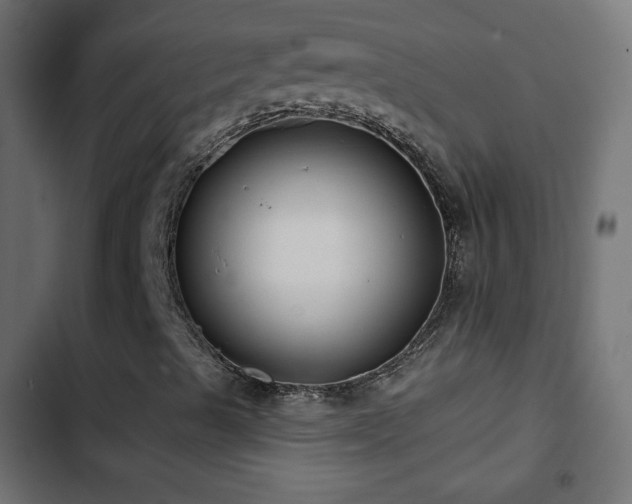 X0000103491489200809121701