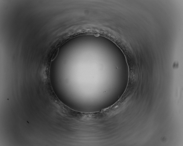 X0000103491490200809121701