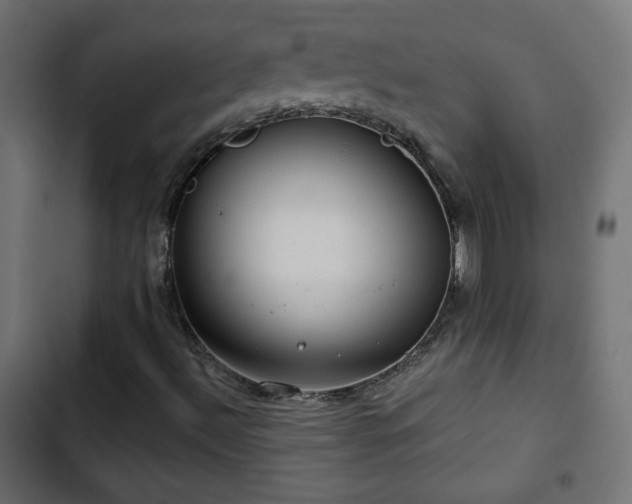 X0000103491492200809121701