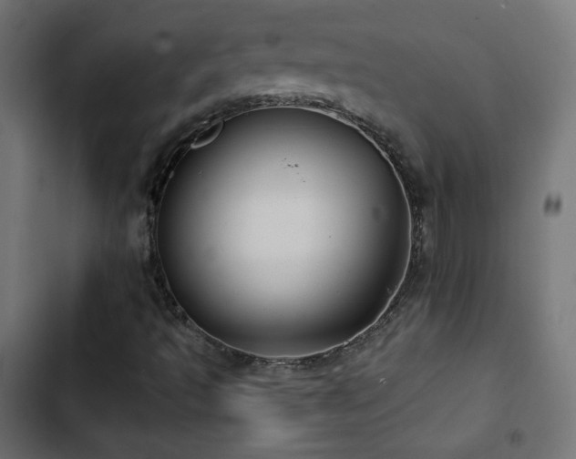 X0000103491493200809121701