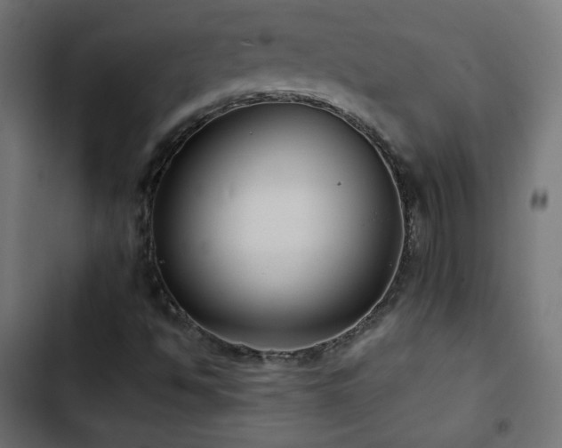 X0000103491494200809121701