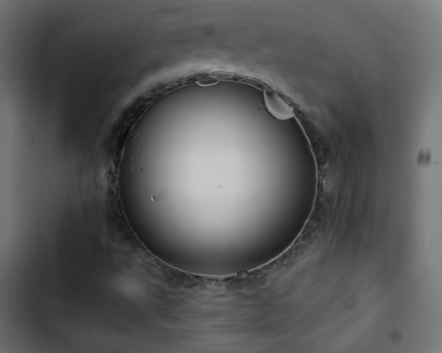 X0000103491495200809121701