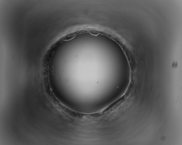 X0000103491496200809121701