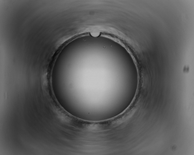 X0000103491497200809121701