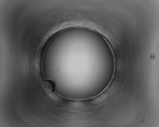 X0000103491499200809121701