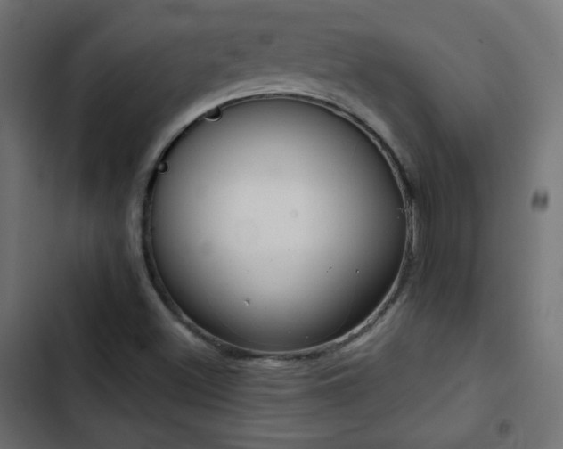 X0000103491500200809121701