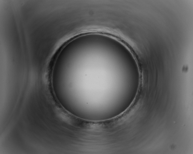 X0000103491501200809121701