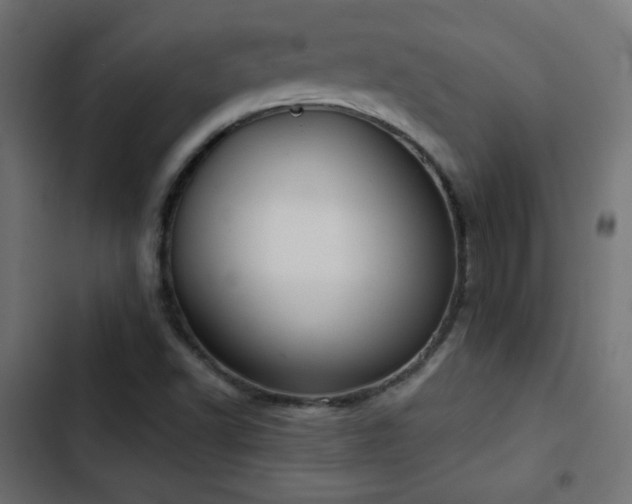 X0000103491502200809121701