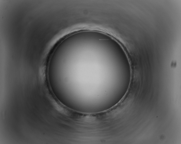 X0000103491503200809121702