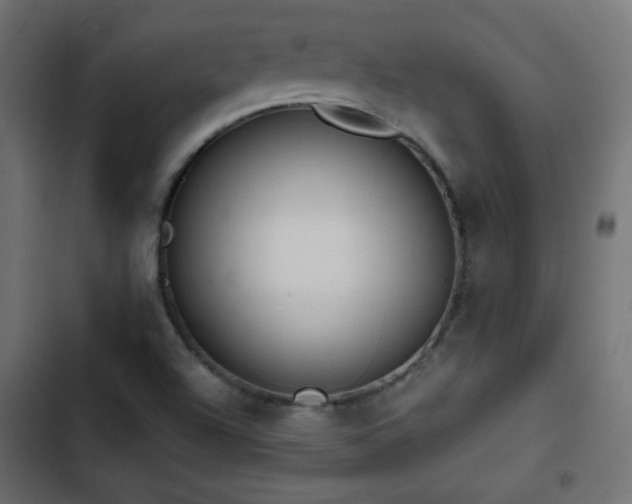 X0000103491504200809121702