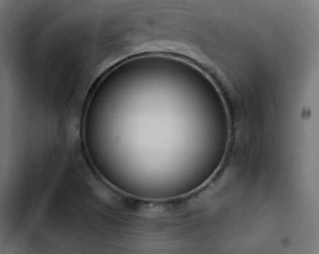 X0000103491505200809121702