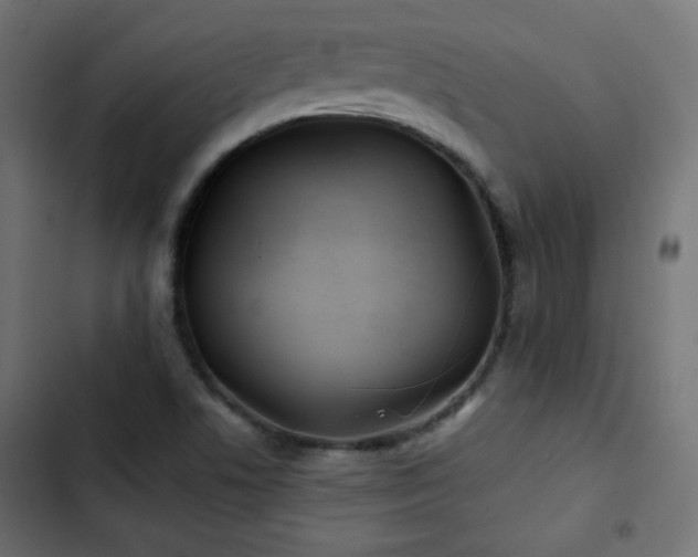 X0000103491506200809121702