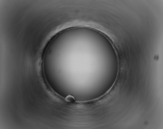 X0000103491507200809121702