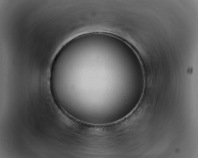 X0000103491508200809121702