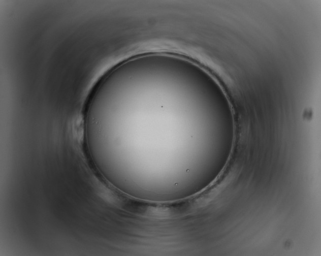 X0000103491509200809121702