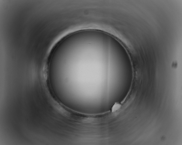 X0000103491510200809121702