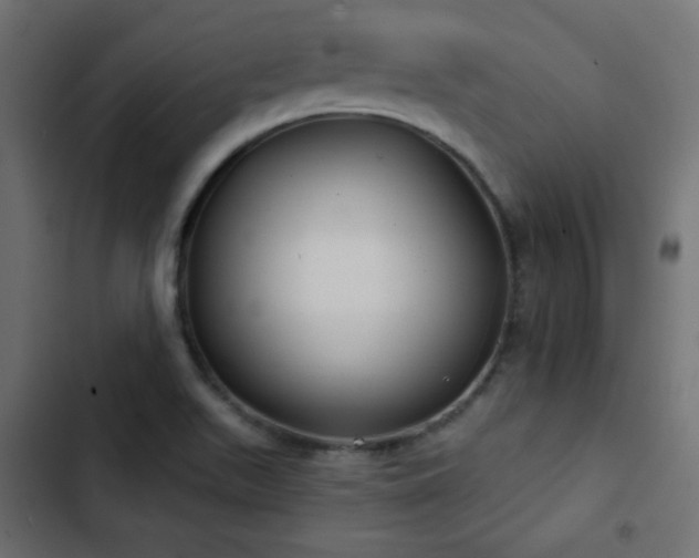 X0000103491511200809121702