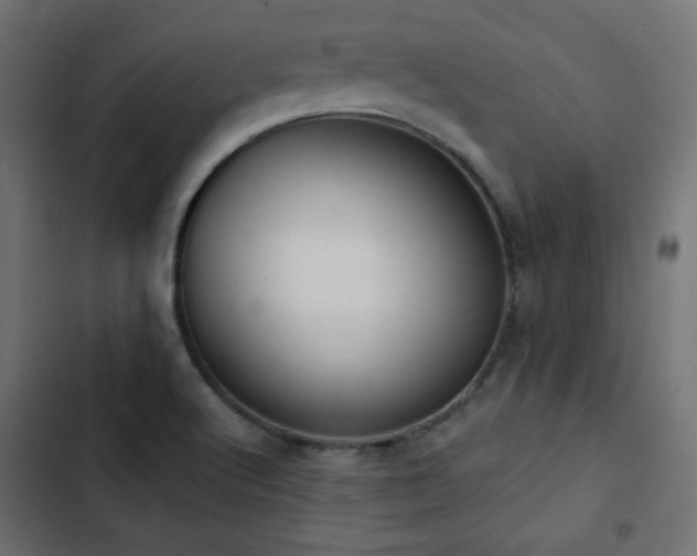 X0000103491512200809121702