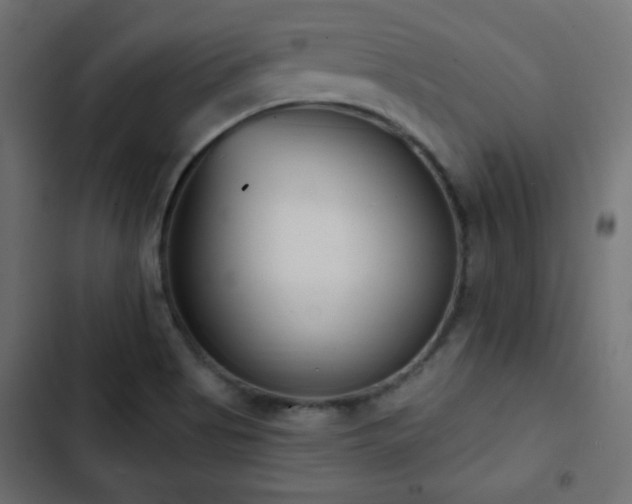 X0000103491513200809121702