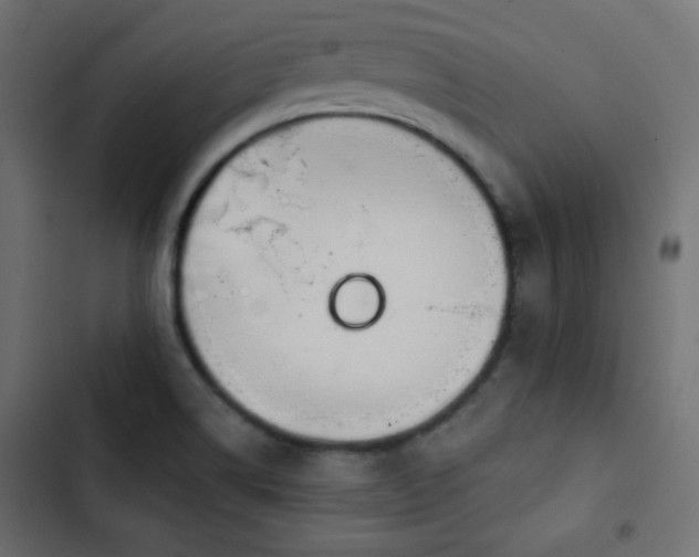 X0000103491514200809121702