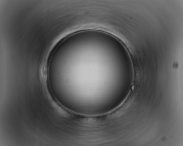 X0000103491515200809121702