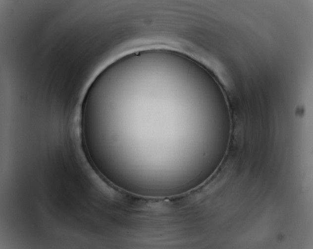 X0000103491516200809121702