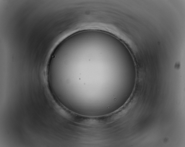 X0000103491517200809121702