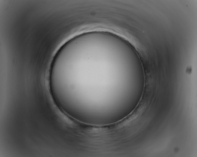 X0000103491518200809121702