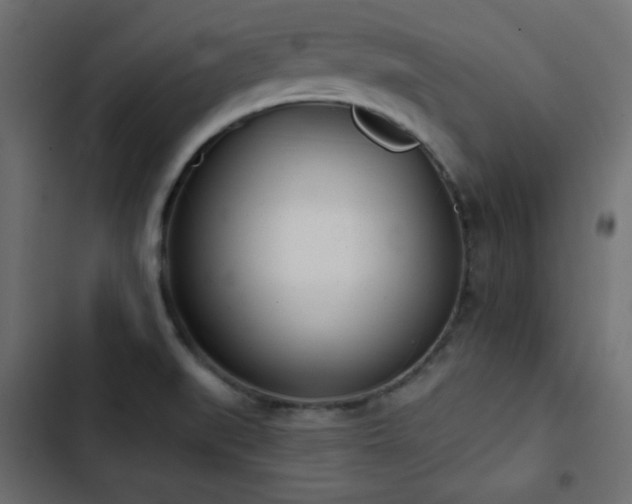 X0000103491519200809121702